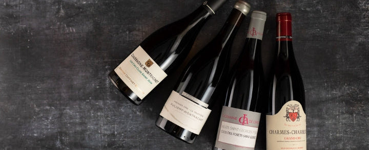 En Primeur | Burgundy 2023