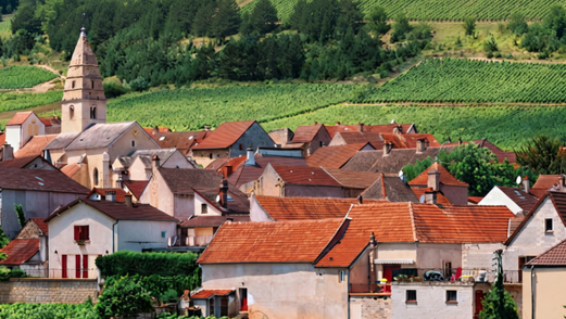Introducing Domaine Sylvian Bzikot