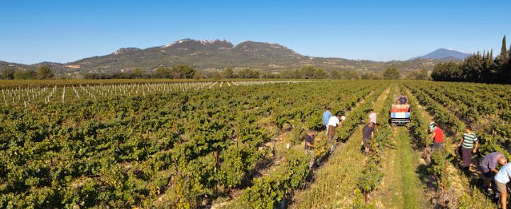 Domaine Le Clos des Cazaux 2023 | En Primeur