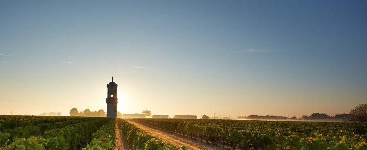 Left Bank Reds | Ch Les Ormes de Pez & Ch Haut Batailley