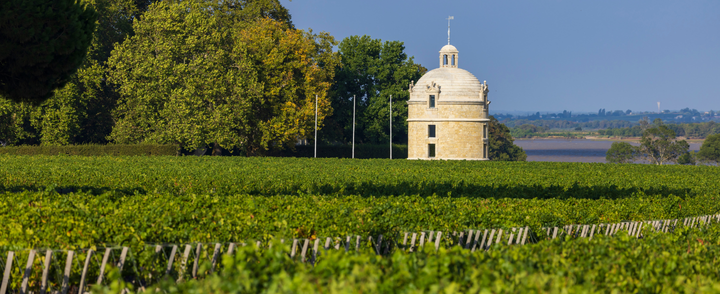 Ch Latour Pauillac releases | 2019 Ch Latour 1er Cru & 2020 Les Forts de Latour