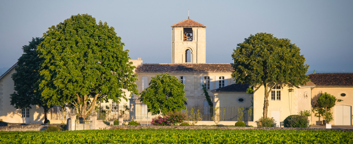 The Monthly Six | March Recommendations﻿