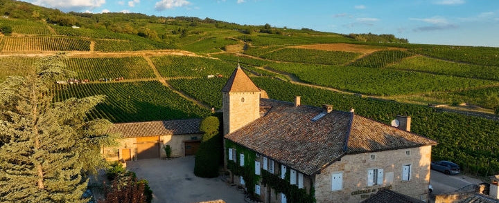 En Primeur | Mâconnais