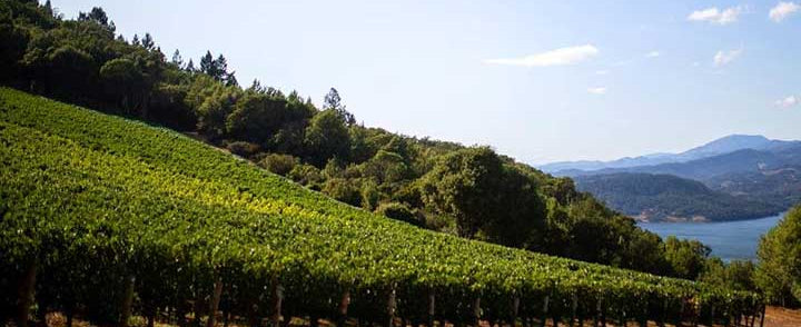 Colgin Cellars, Napa Valley