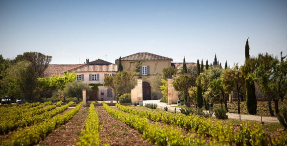 New Releases | Château de Beaucastel & Coudoulet 2022