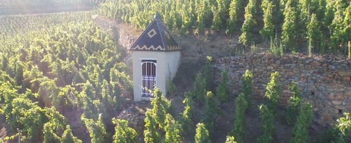 Domaine Rostaing 2023 | En Primeur