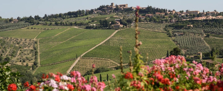 Fontodi's Chianti Classico 2021 Releases