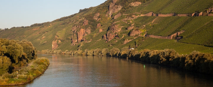 2022 GRAND CRU RELEASES FROM GERMANY'S FINEST VINEYARDS
