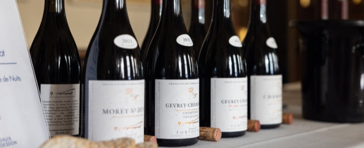 Burgundy 2023 EP | Spotlight on Gevrey Chambertin