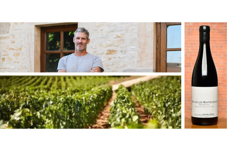 Antoine Jobard's Red Burgundy releases
