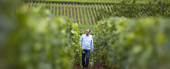 En Primeur | Domaine Jacques Carillon