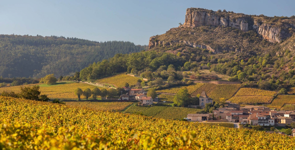Mâconnais 2024s | Three top domaines