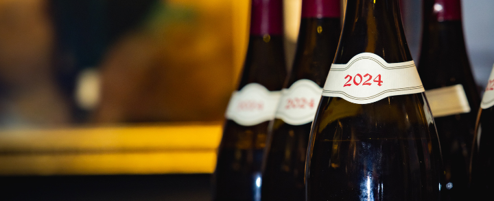 Burgundy 2024 EP | Matthew Jukes Recommendations