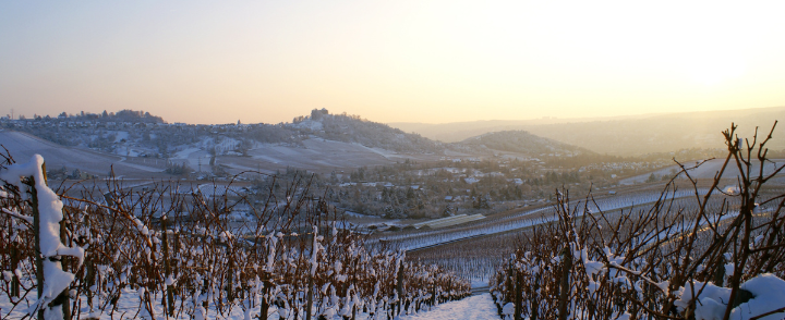 The Monthly Six | January Recommendations﻿