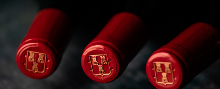 Burgundy 2024 EP | Top Picks From Our Buying Team