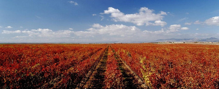 La Rioja Alta | New Release Gran Reservas