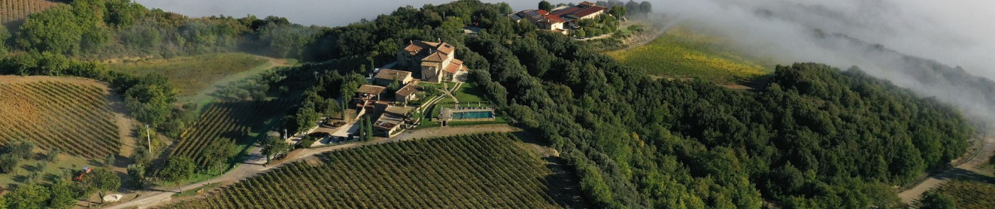 Brunello di Montalcino 2021