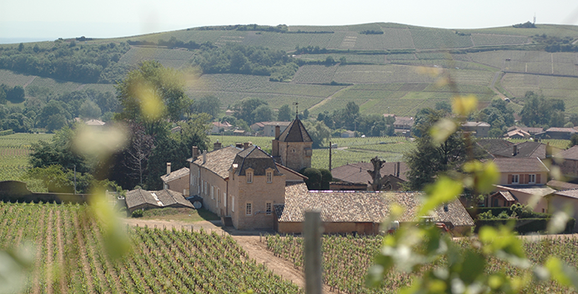 Château de Fuissé | A new Mâconnais Discovery