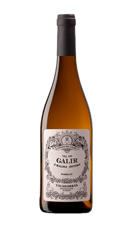 11C5VDGG6PK _ 2025 - Val do Galir Godello - 6x75cl