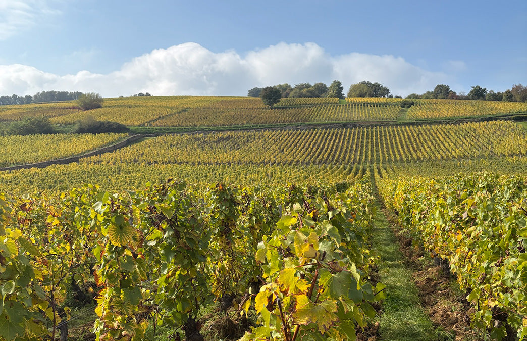 THE 2024 GROWING SEASON