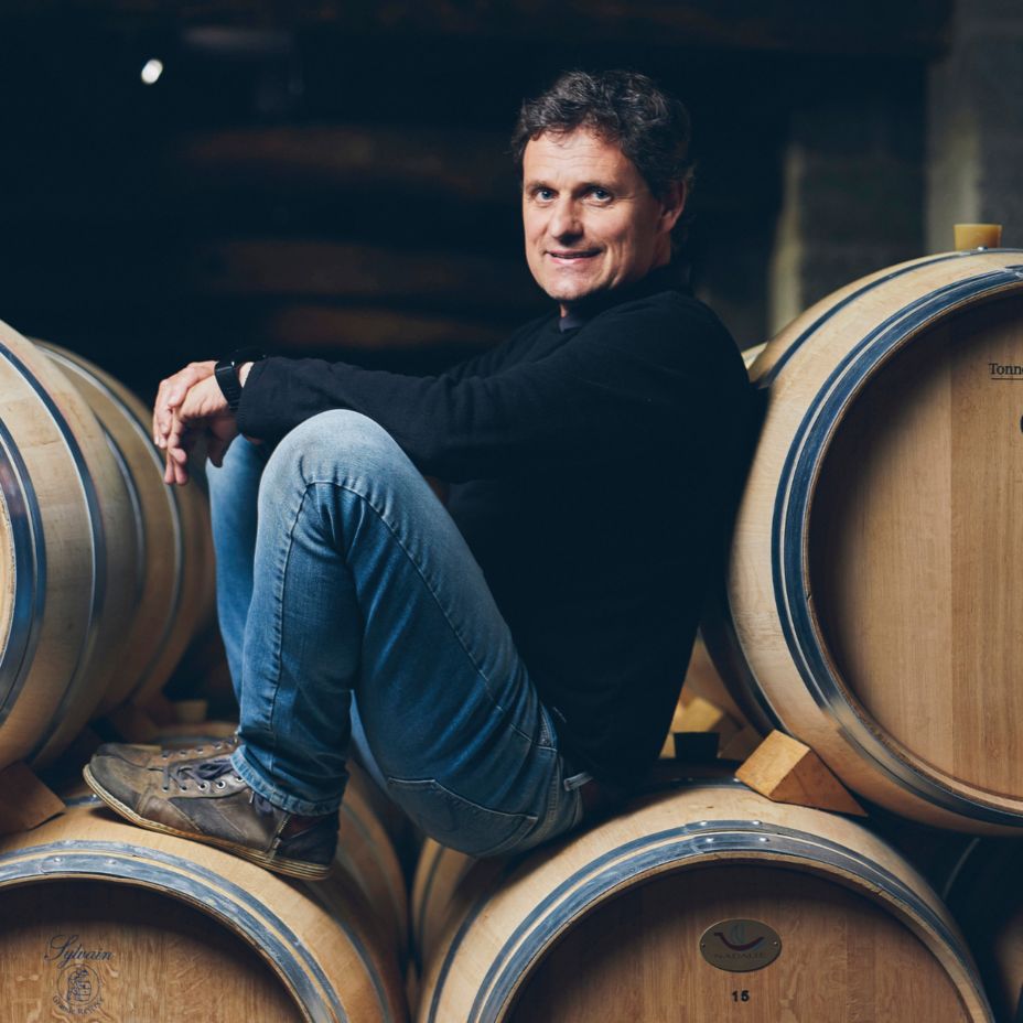 WINE MAKER |  Fabrice Bandiera