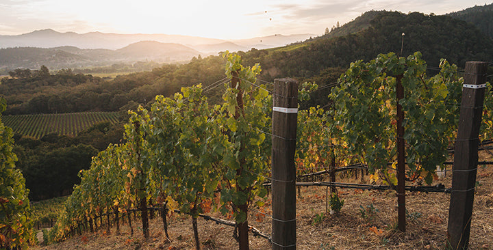 A PURE EXPRESSION OF CALIFORNIA CABERNET