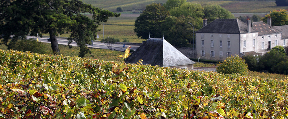 Michel Rion 2014 - Bonnes Mares Grand Cru Patrice Rion - 6x75cl – Goedhuis Waddesdon