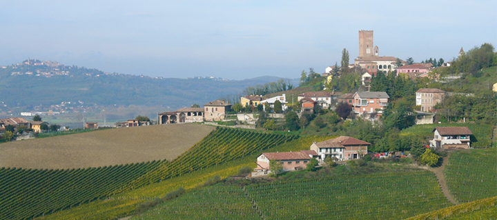 Piedmont | Barbaresco 2019 & 2020